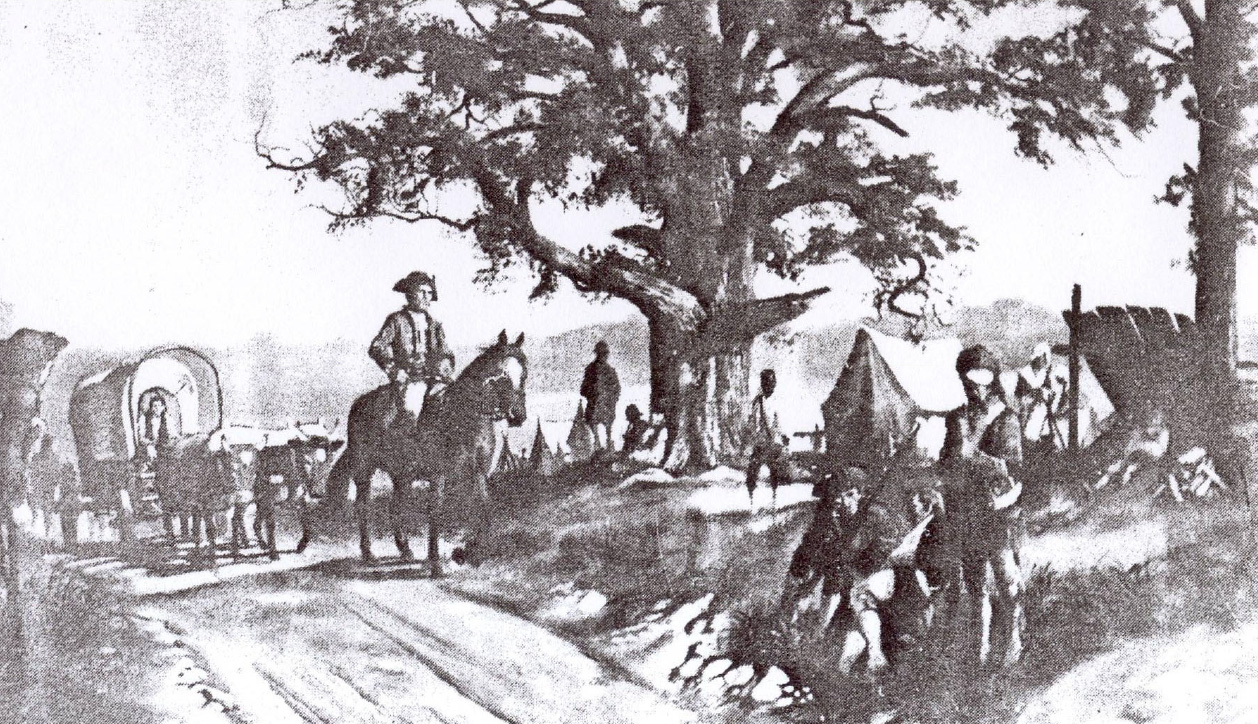 Illustration depicting troops and wagons near an oak tree during the Revolutionary War era near Galloping Hill Road