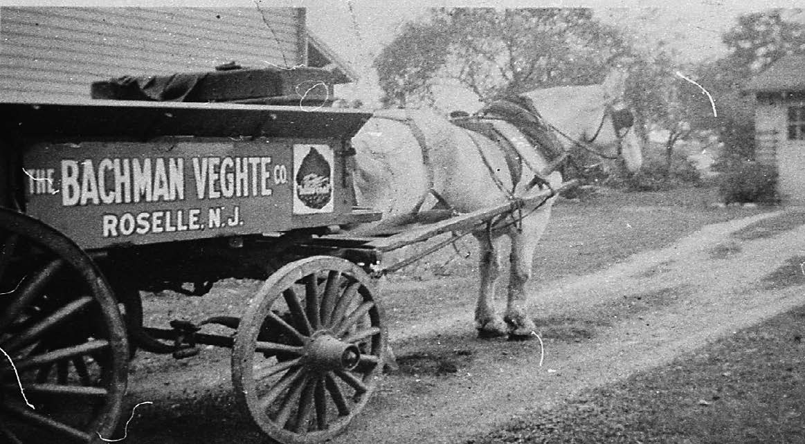 Horse-drawn coal delivery wagon marked “The Bachman Veghte Co., Roselle, N.J.” used to transport bagged coal.