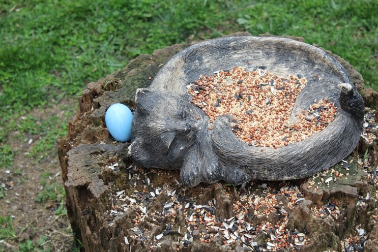 A stone bird bath containing bird seed and a single blue Easter egg